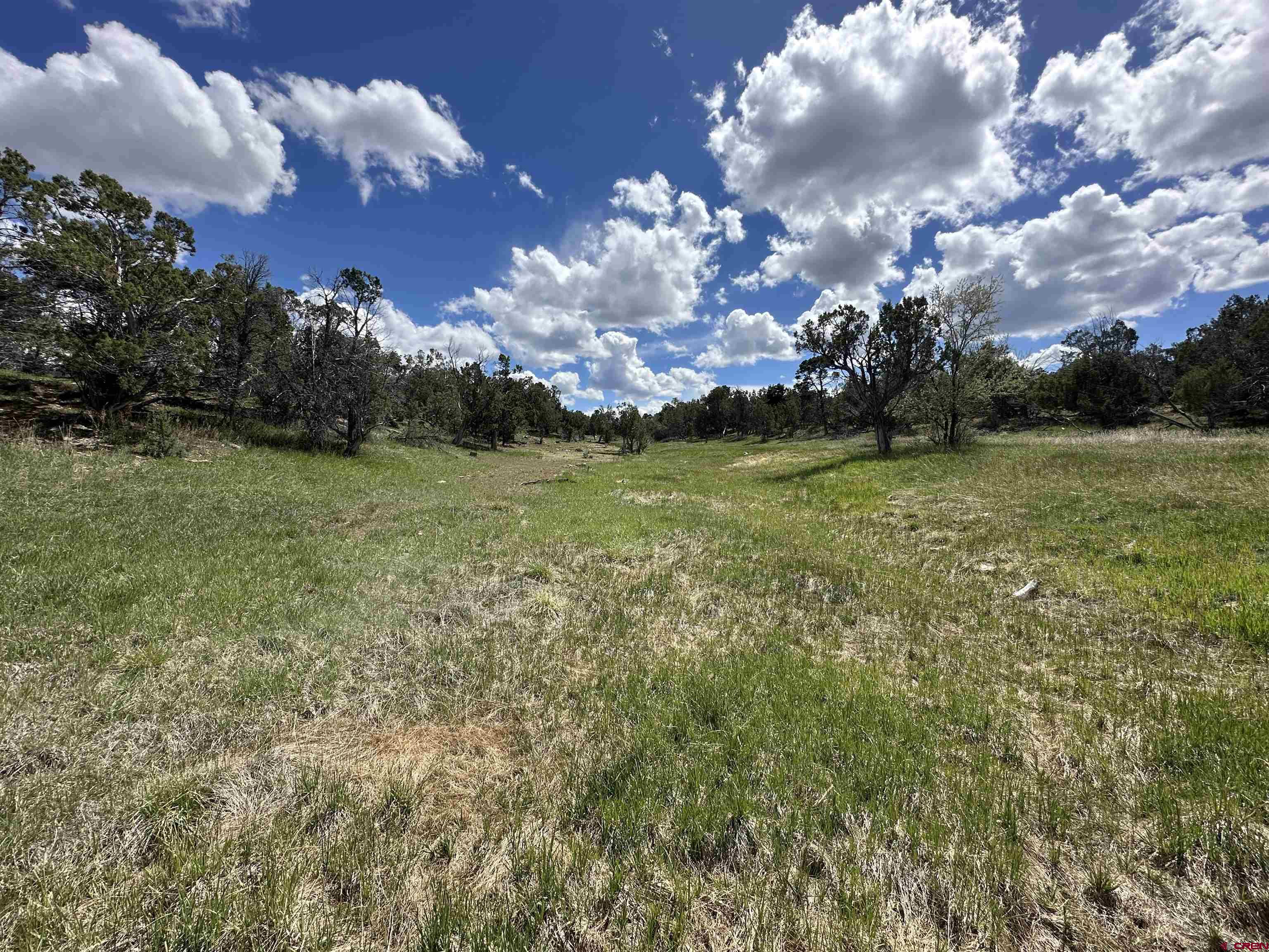 37838 Polson Road Crawford, CO 81415 - Photo 3 of 44