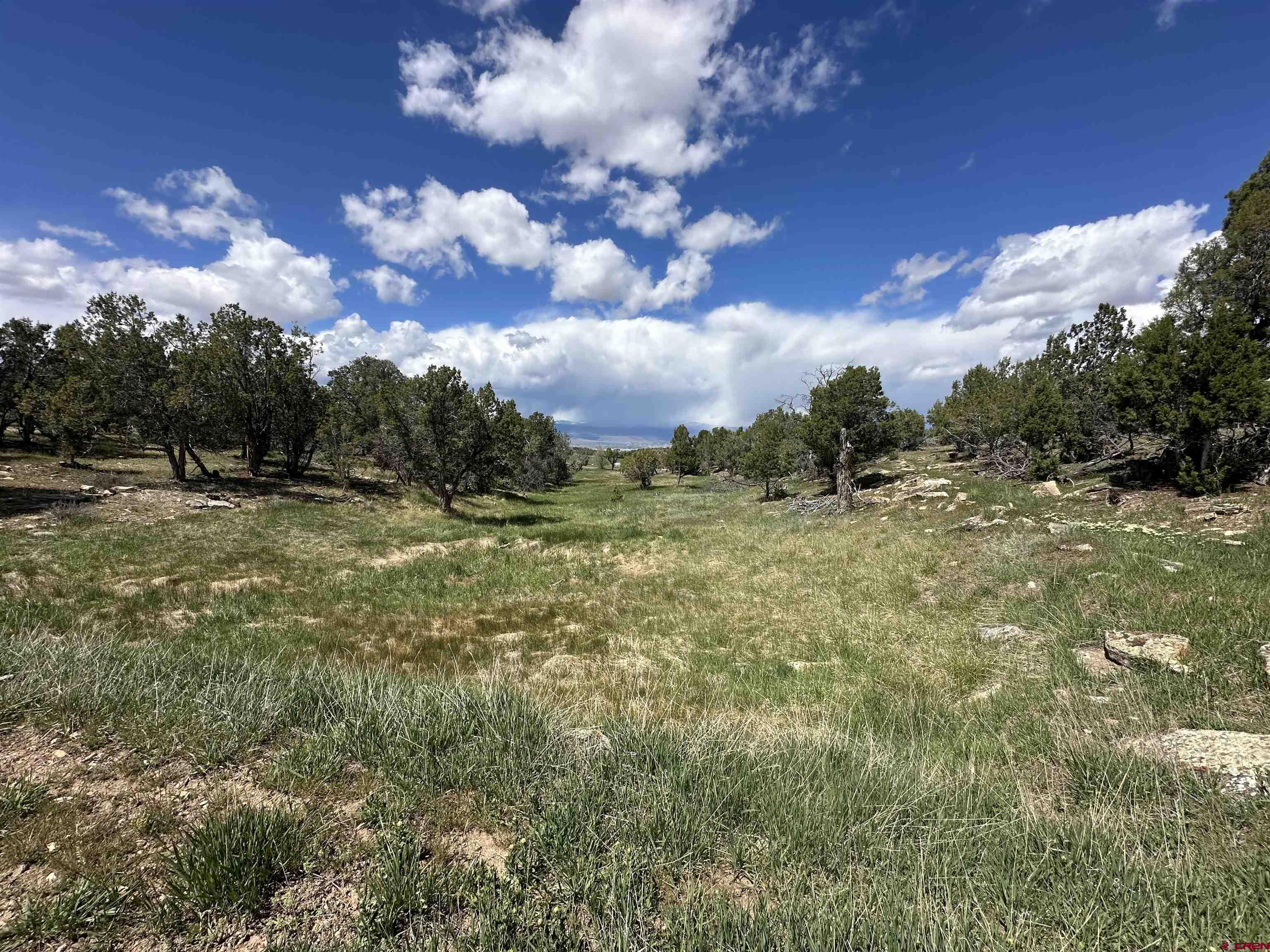 37838 Polson Road Crawford, CO 81415 - Photo 38 of 44
