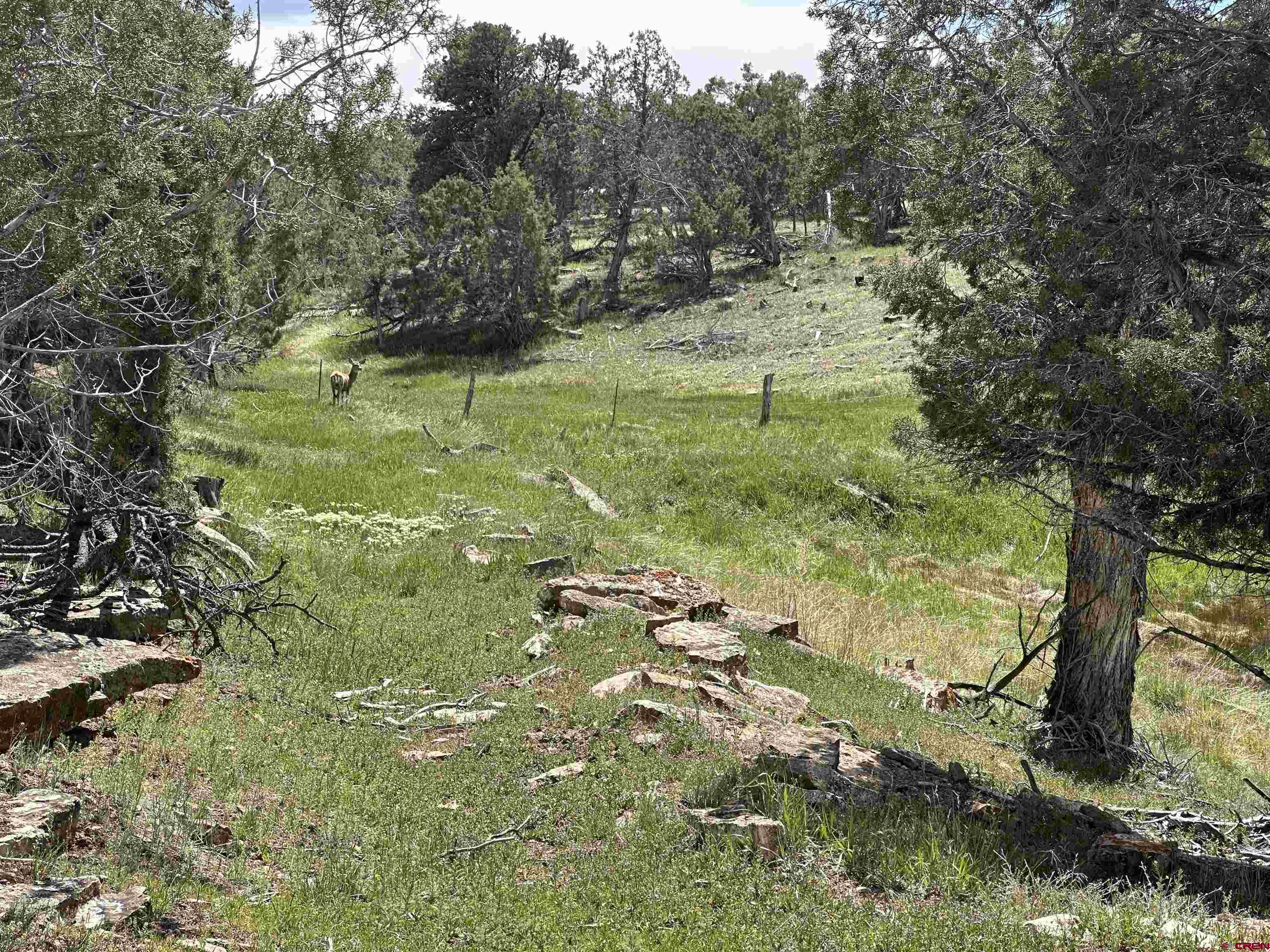 37838 Polson Road Crawford, CO 81415 - Photo 40 of 44