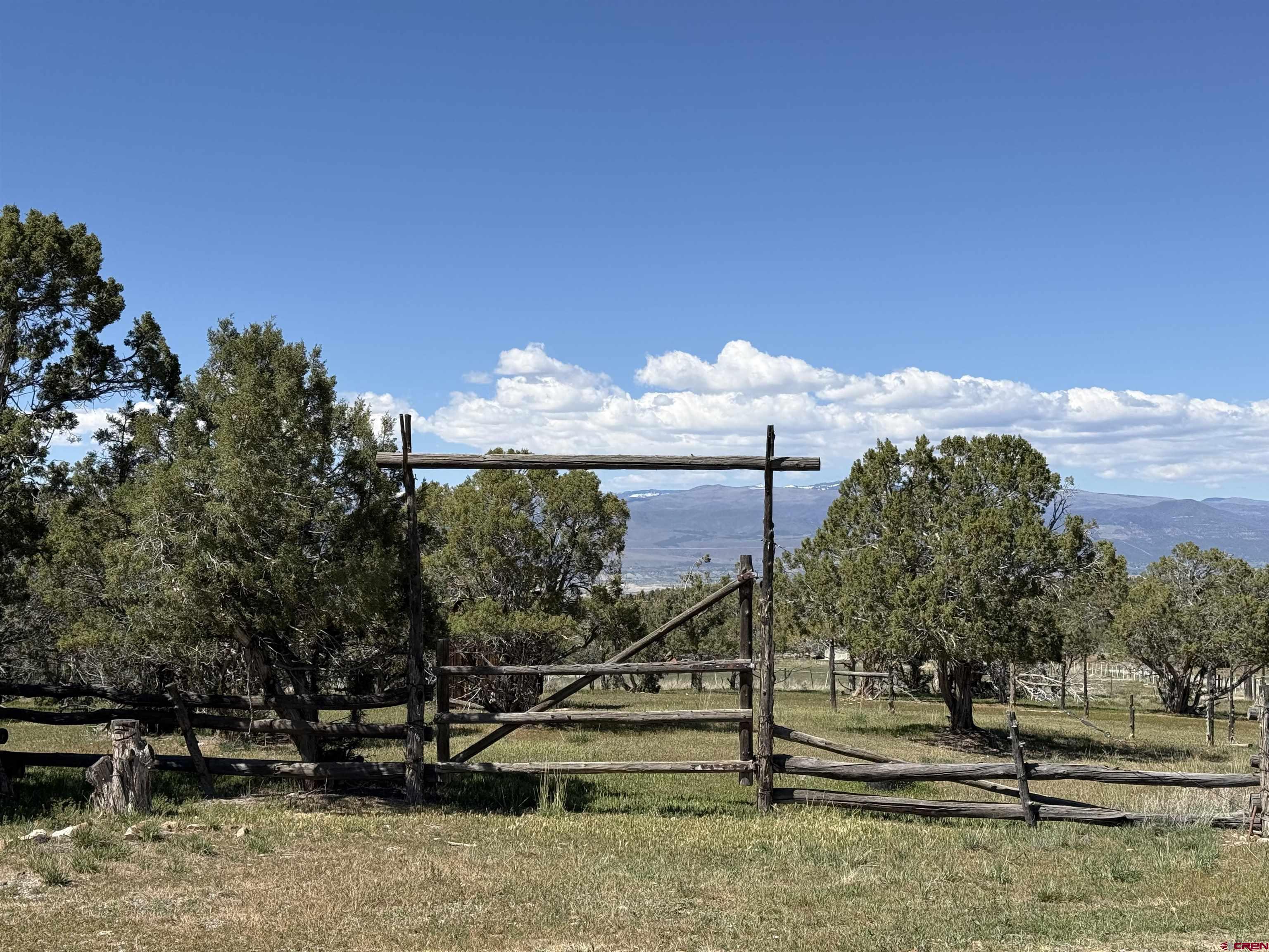 37838 Polson Road Crawford, CO 81415 - Photo 4 of 44