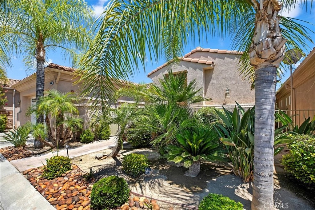 5614 Queen Palms Drive Riverside, CA 92506 - Photo 3 of 50 a close up of a plant in a garden