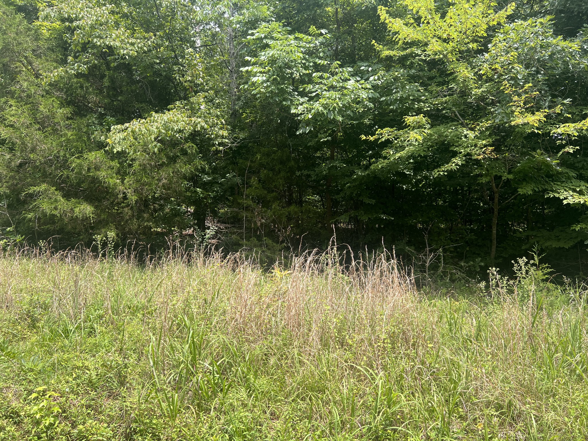 2 Toms Creek Lake Road Linden, TN 37096 - Photo 11 of 11