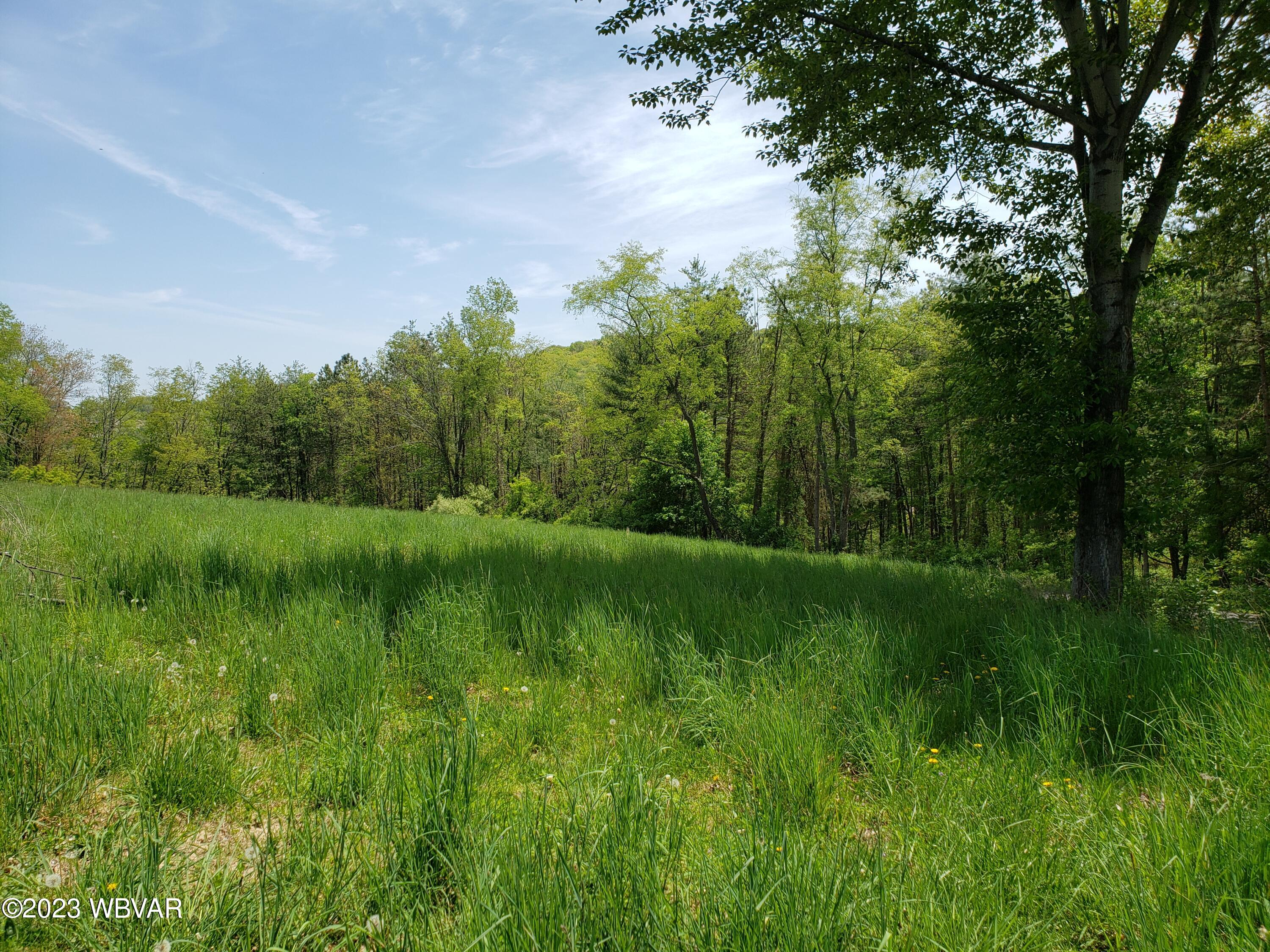 Bloomingrove Road, Unit 3 Cogan Station, PA 17728 - Photo 4 of 12 20230511_125845