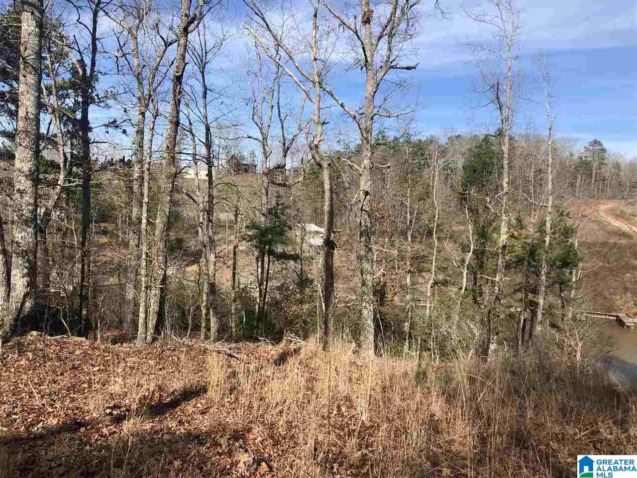 Lot 4 Point View, Unit LOT 4 Wedowee, AL 36278 - Photo 6 of 8