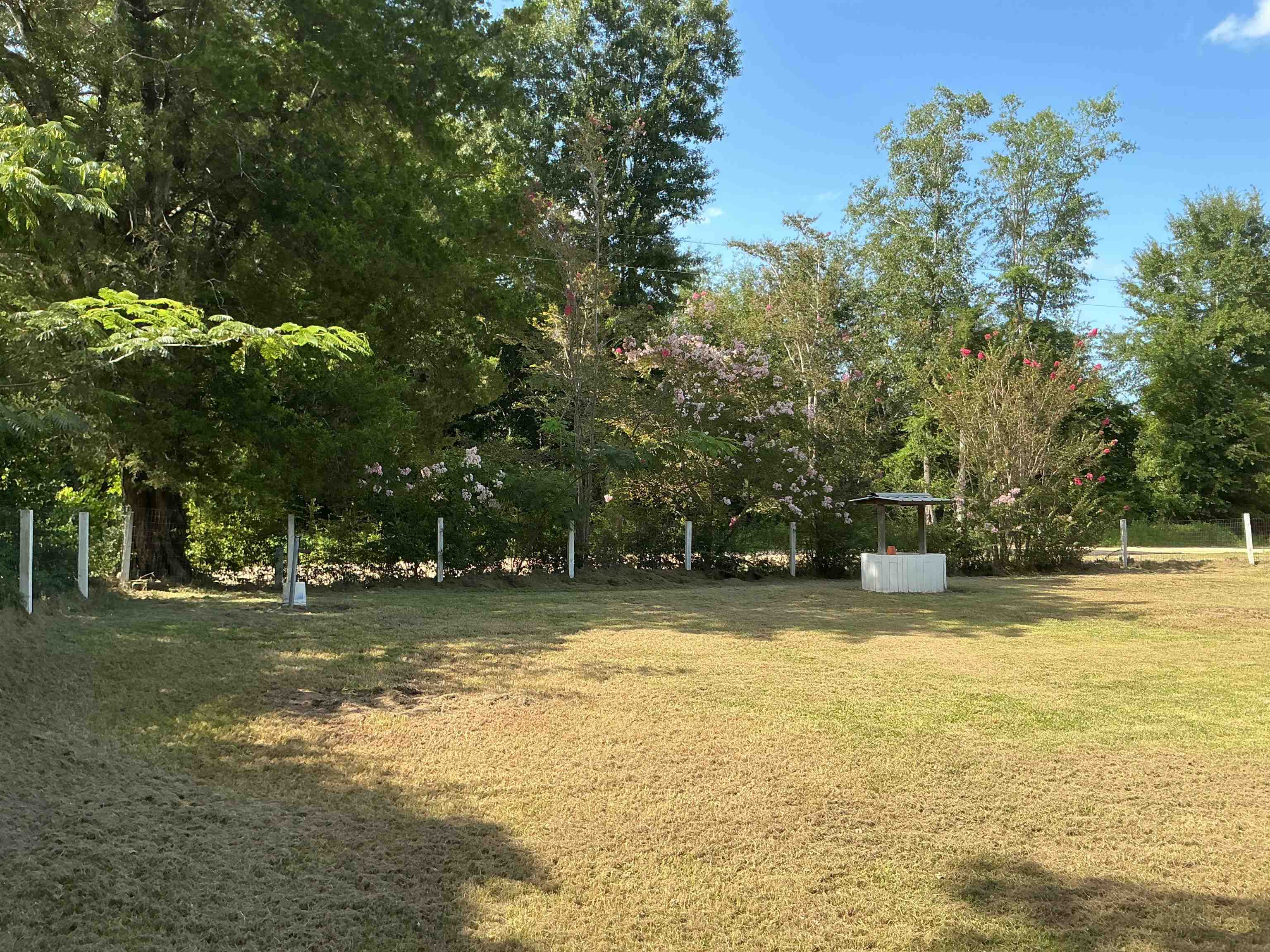 23182 Driver Road Dozier, AL 36028 - Photo 20 of 22 Gallery Image 20