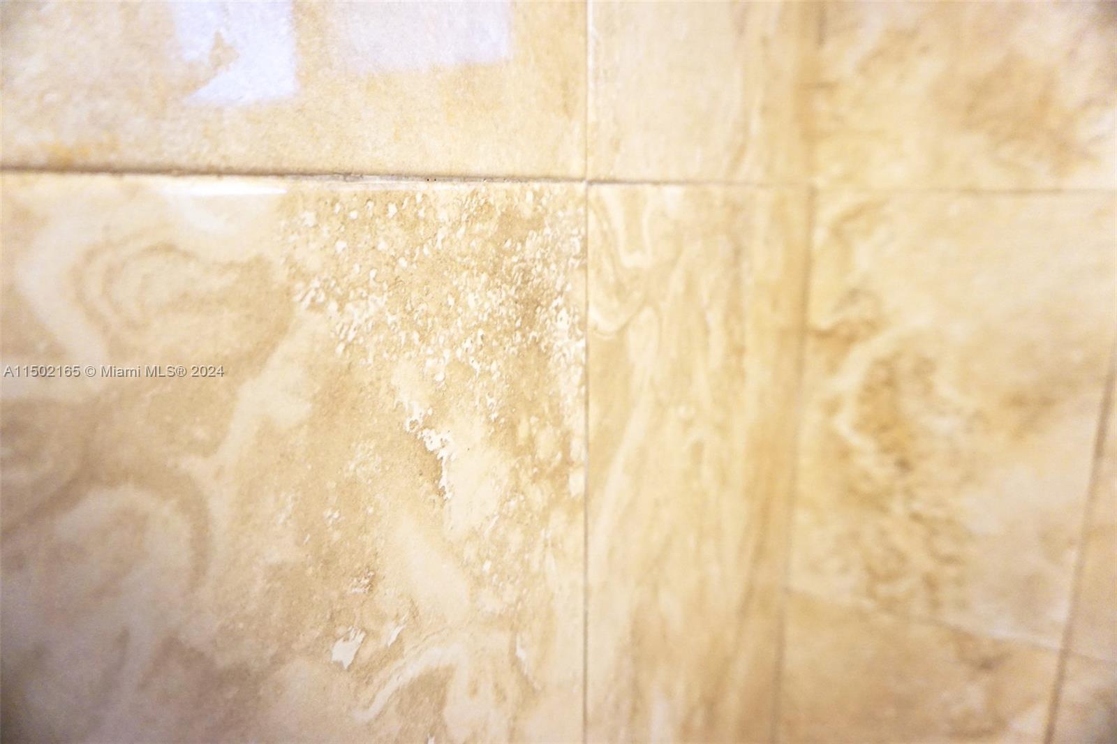 2496 North Pine Island Road Sunrise, FL 33322 - Photo 11 of 15 a bathroom with a shower curtain