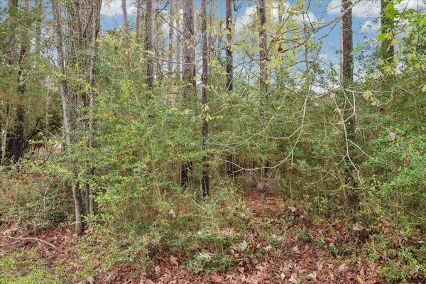 $450,000 | 13219 Salem Circle, Montgomery, TX 77356