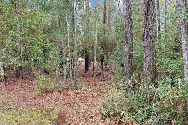 $450,000 | 13219 Salem Circle, Montgomery, TX 77356