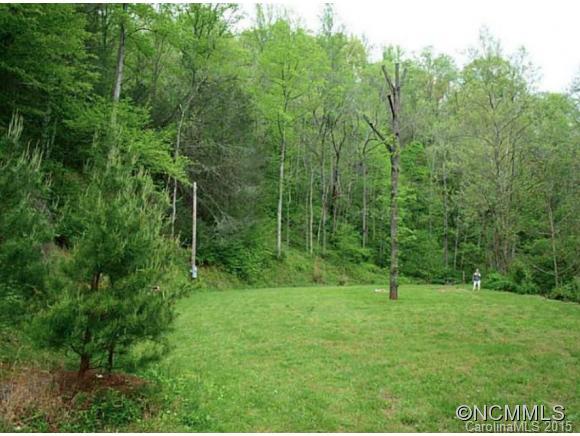7381 Bear Creek Road Marshall, NC 28753 - Photo 2 of 17