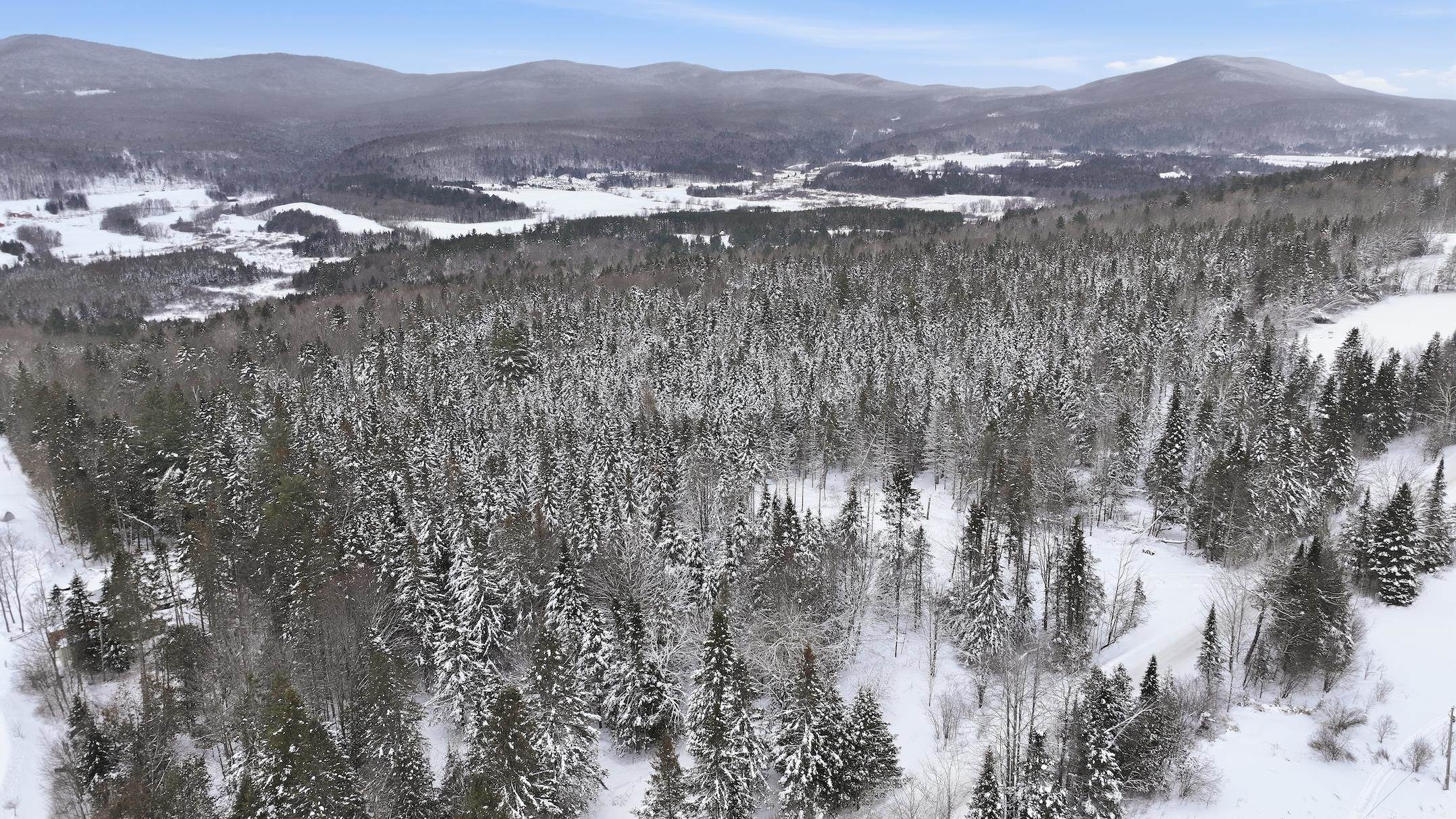 1090 Center Road, Unit LOT #3 Albany, VT 05845 - Photo 14 of 16