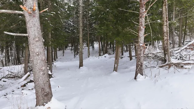 $250,000 | 1090 Center Road, Unit LOT #3, Albany, VT 05845