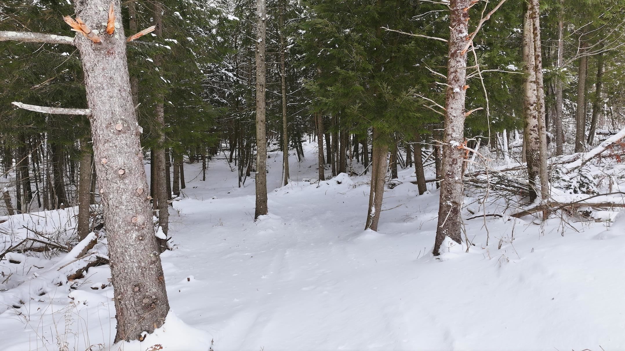 1090 Center Road, Unit LOT #3 Albany, VT 05845 - Photo 7 of 16