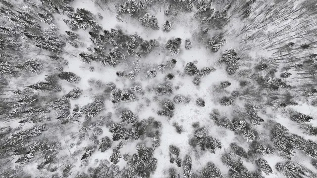 $250,000 | 1090 Center Road, Unit LOT #3, Albany, VT 05845