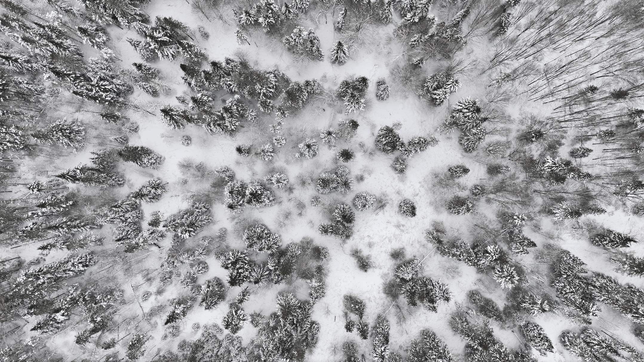 1090 Center Road, Unit LOT #3 Albany, VT 05845 - Photo 9 of 16