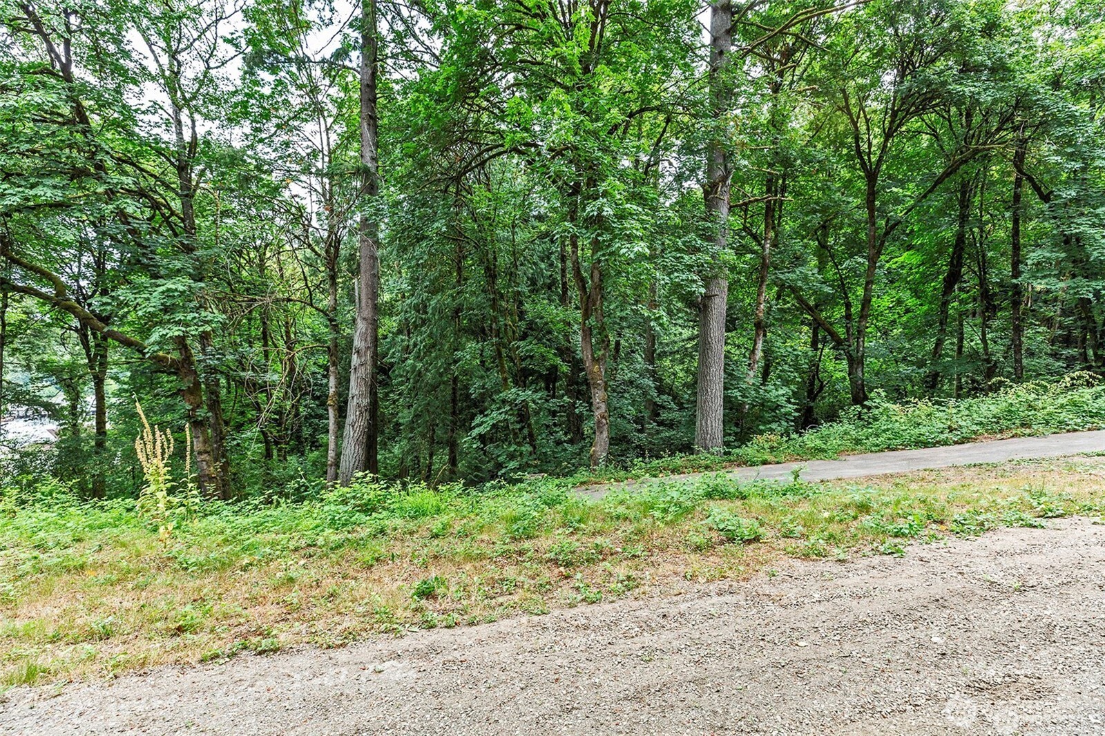 1302 Southwest Bay Street Port Orchard, WA 98366 - Photo 10 of 17 a green field with lots of trees in it