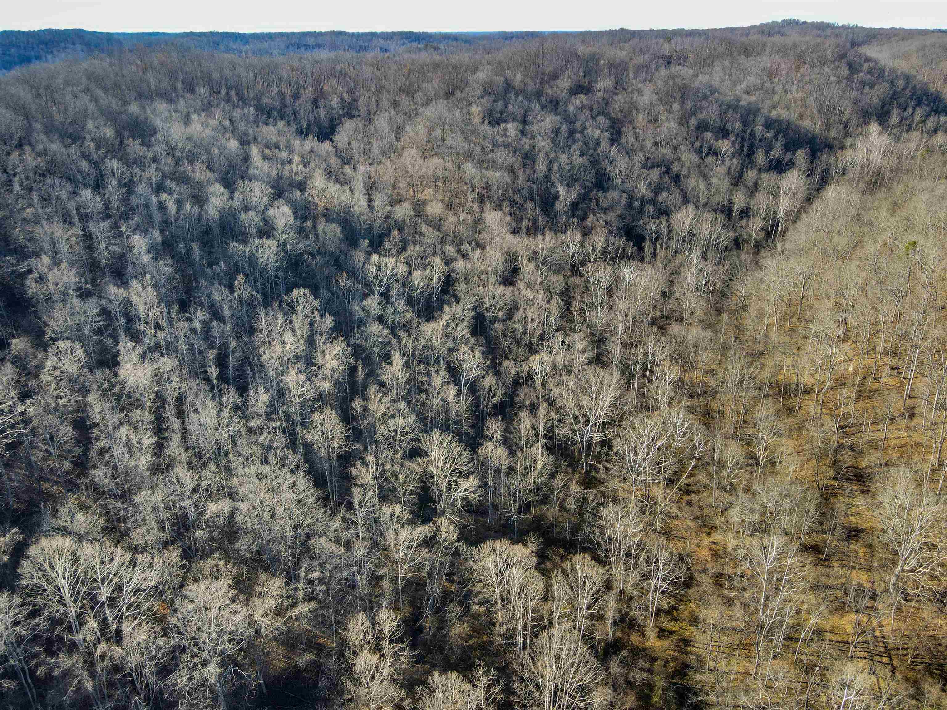 0 Dixie Road Grayson, KY 41143 - Photo 3 of 11 Gallery Image 3