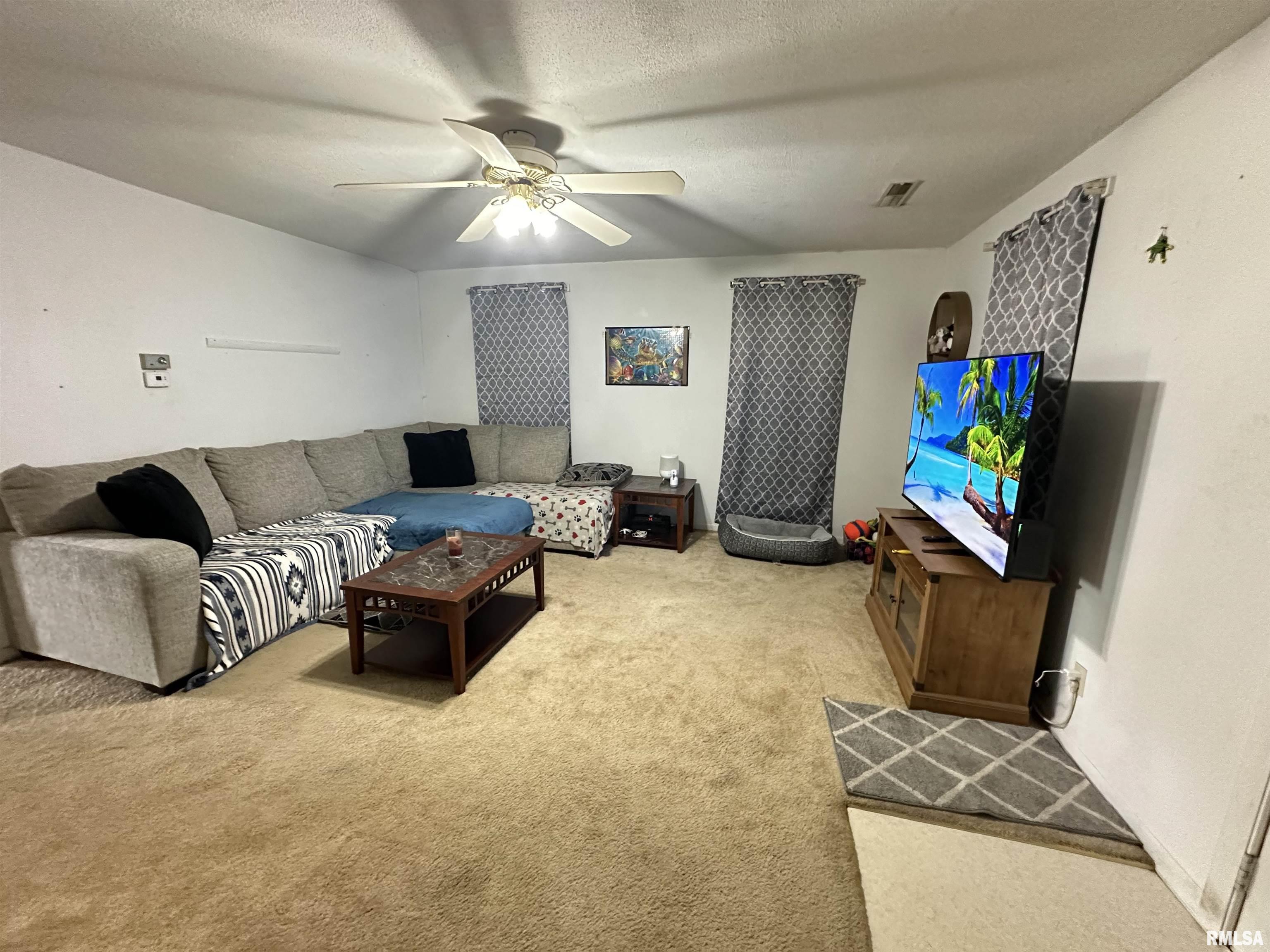 260 Miller Street Hull, IL 62343 - Photo 3 of 20 Gallery Image 3
