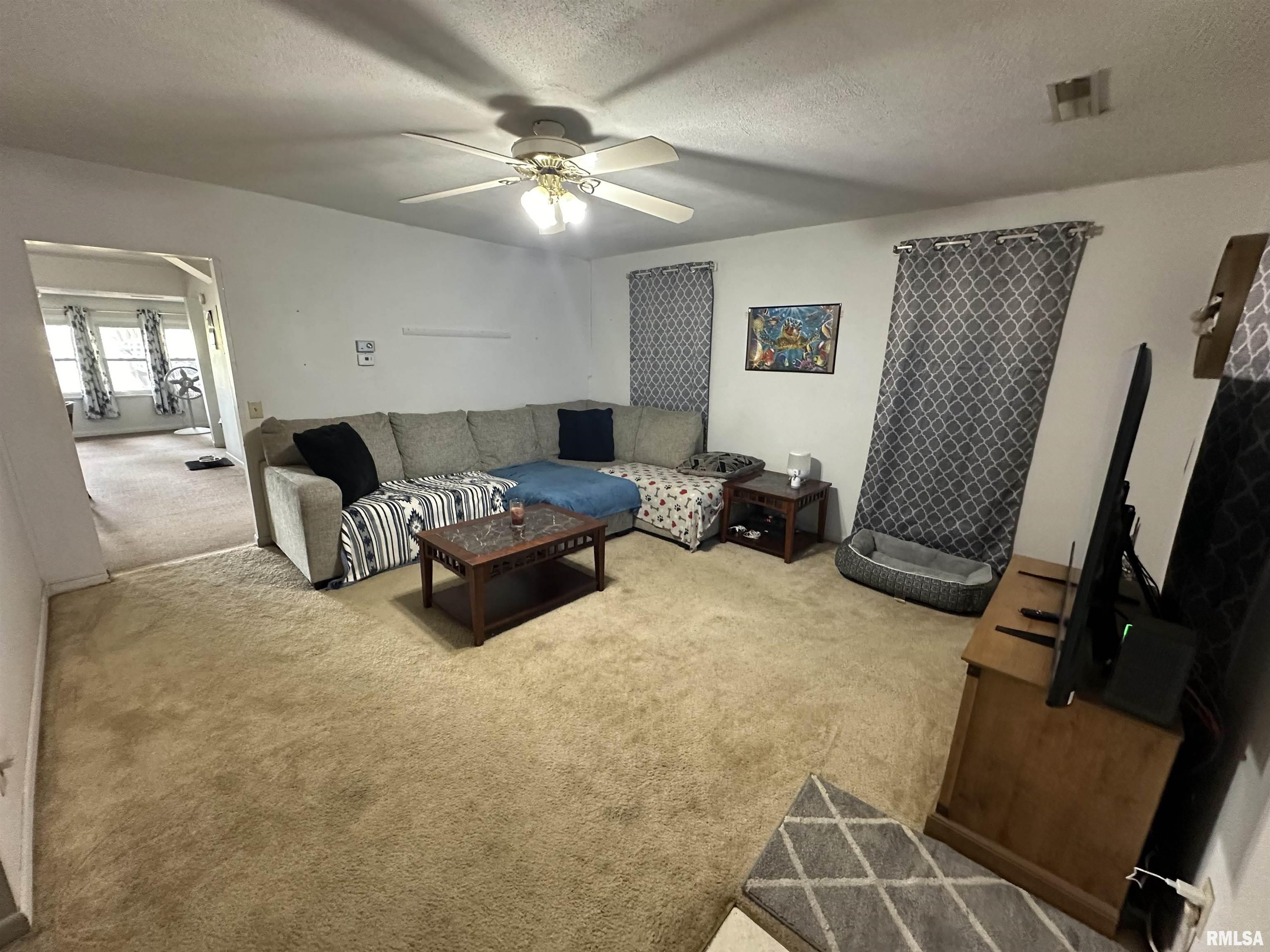 260 Miller Street Hull, IL 62343 - Photo 4 of 20 Gallery Image 4