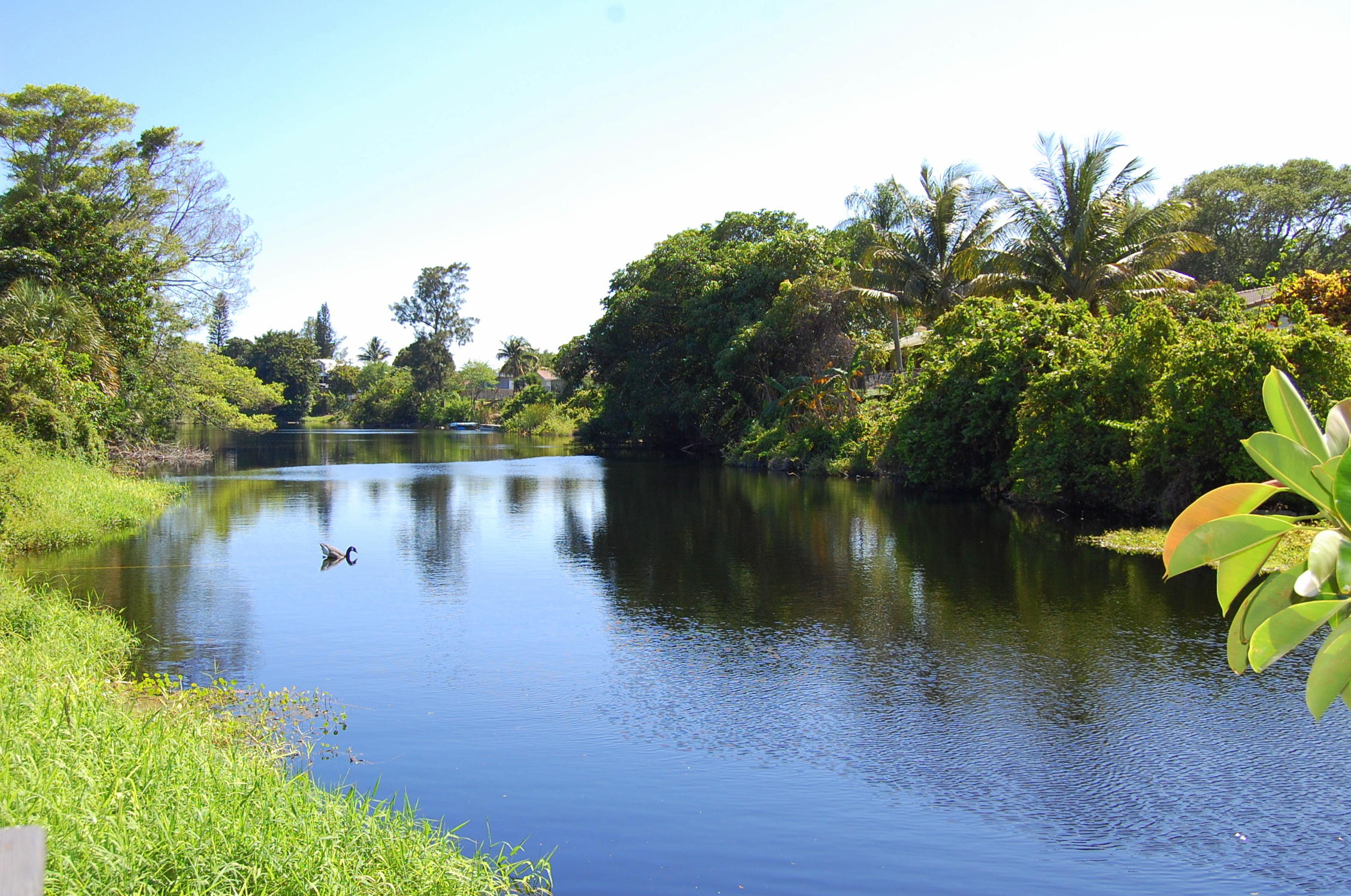 999 Northwest 5th Avenue Boca Raton, FL 33432 - Photo 17 of 43 18 Lake.JPG