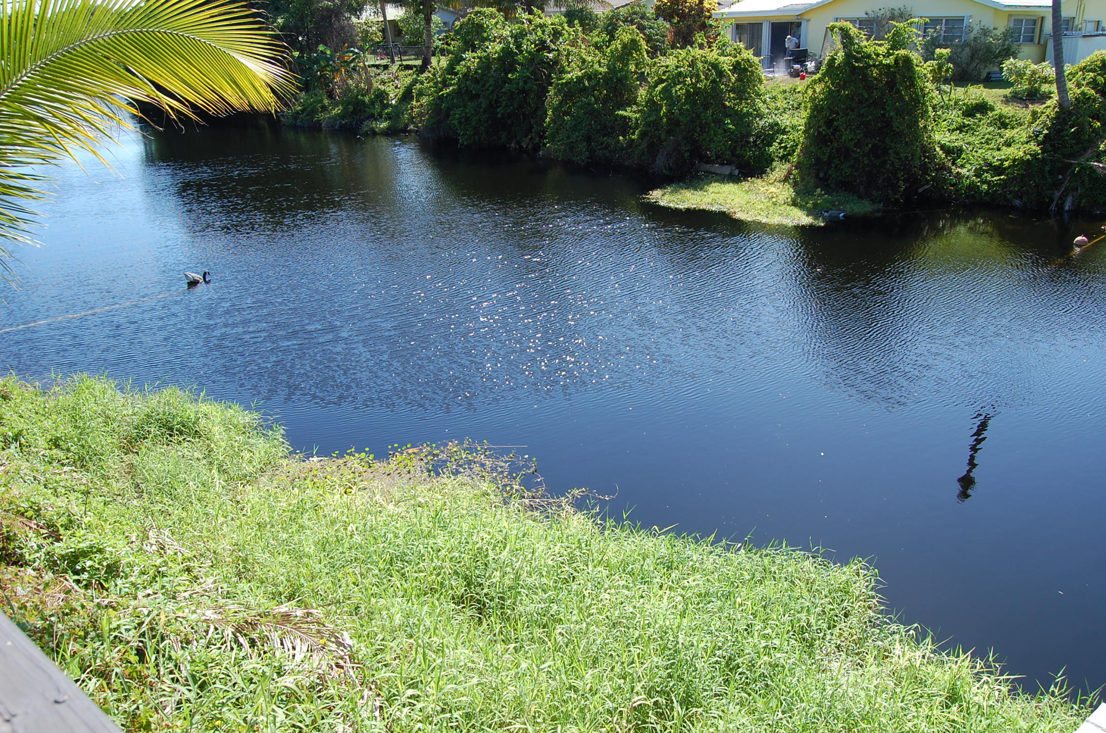 999 Northwest 5th Avenue Boca Raton, FL 33432 - Photo 43 of 43 43 Lake.JPG