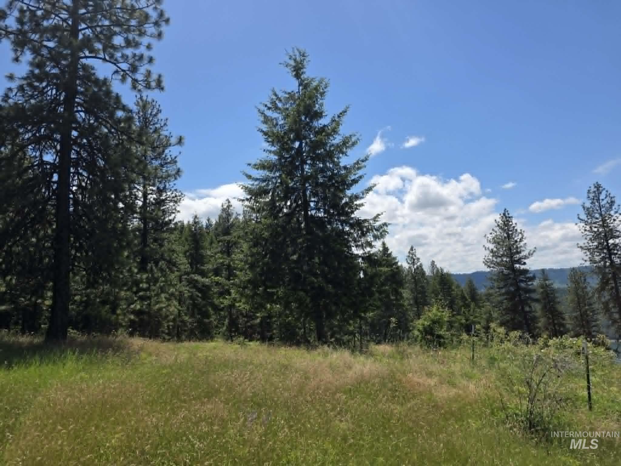 3871 Lakeview Road Orofino, ID 83544 - Photo 43 of 49