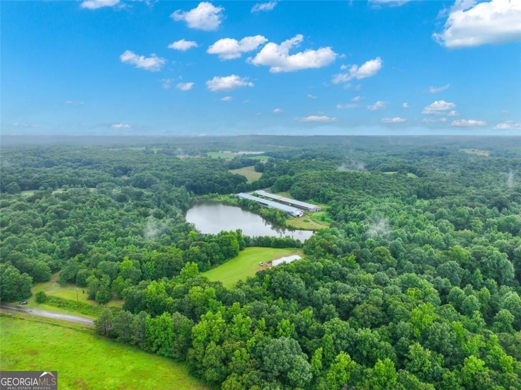 397 Reed Brawner Road Royston, GA 30662 - Photo 21 of 35 a view of a yard with a tree