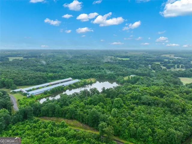 a view of a city with lush green forest