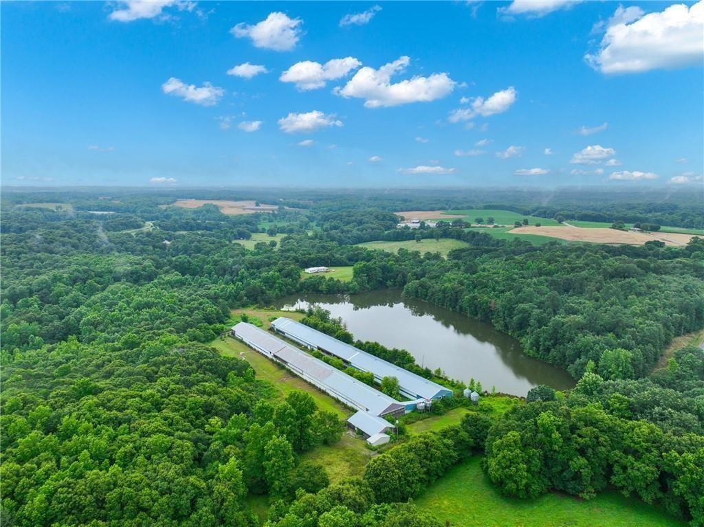 397 Reed Brawner Road Royston, GA 30662 - Photo 23 of 33 a view of a yard with a house in the background