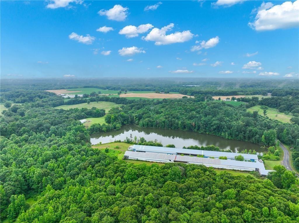 397 Reed Brawner Road Royston, GA 30662 - Photo 24 of 33 a view of yard with swimming pool and green space