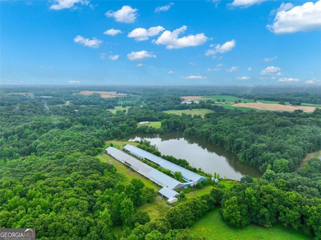 397 Reed Brawner Road Royston, GA 30662 - Photo 25 of 35 a view of a yard with a house in the background