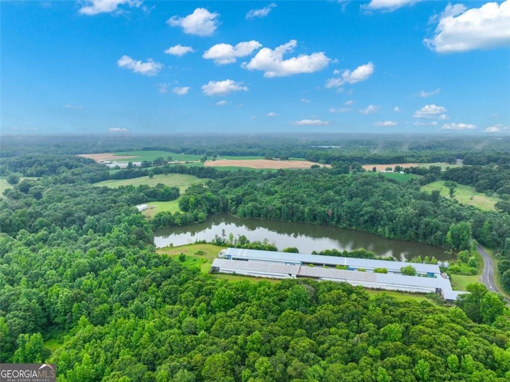 397 Reed Brawner Road Royston, GA 30662 - Photo 26 of 35 a view of yard with swimming pool and green space