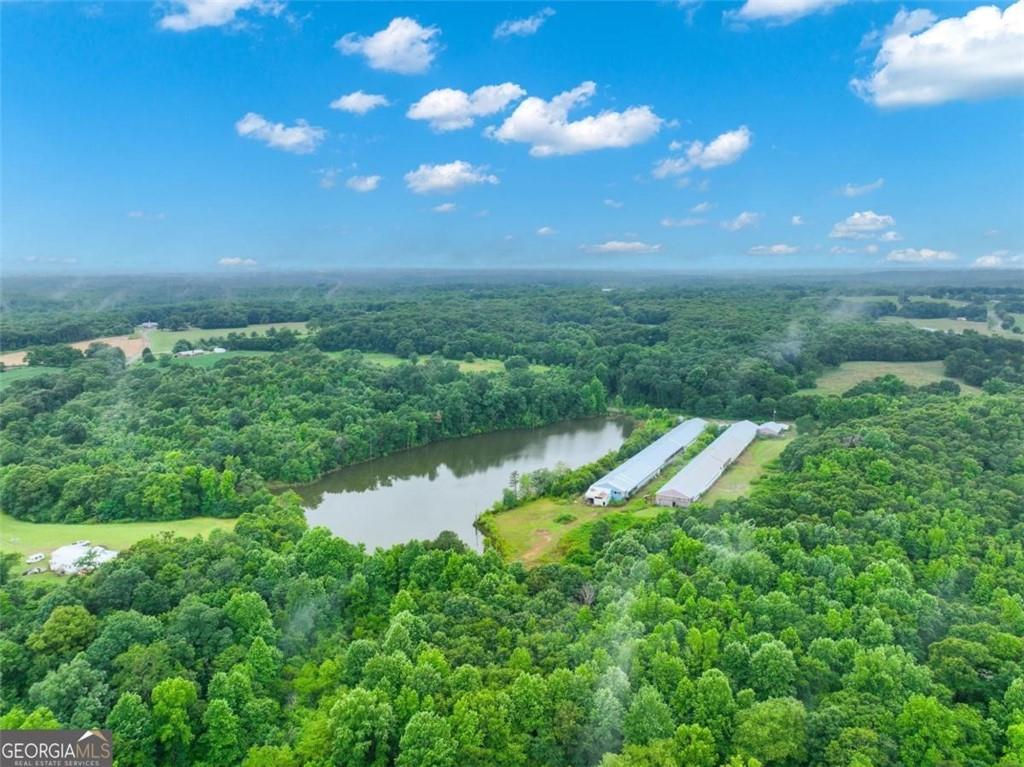 397 Reed Brawner Road Royston, GA 30662 - Photo 28 of 35 a view of a lake with a yard