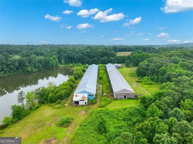 a view of a garden from a lake