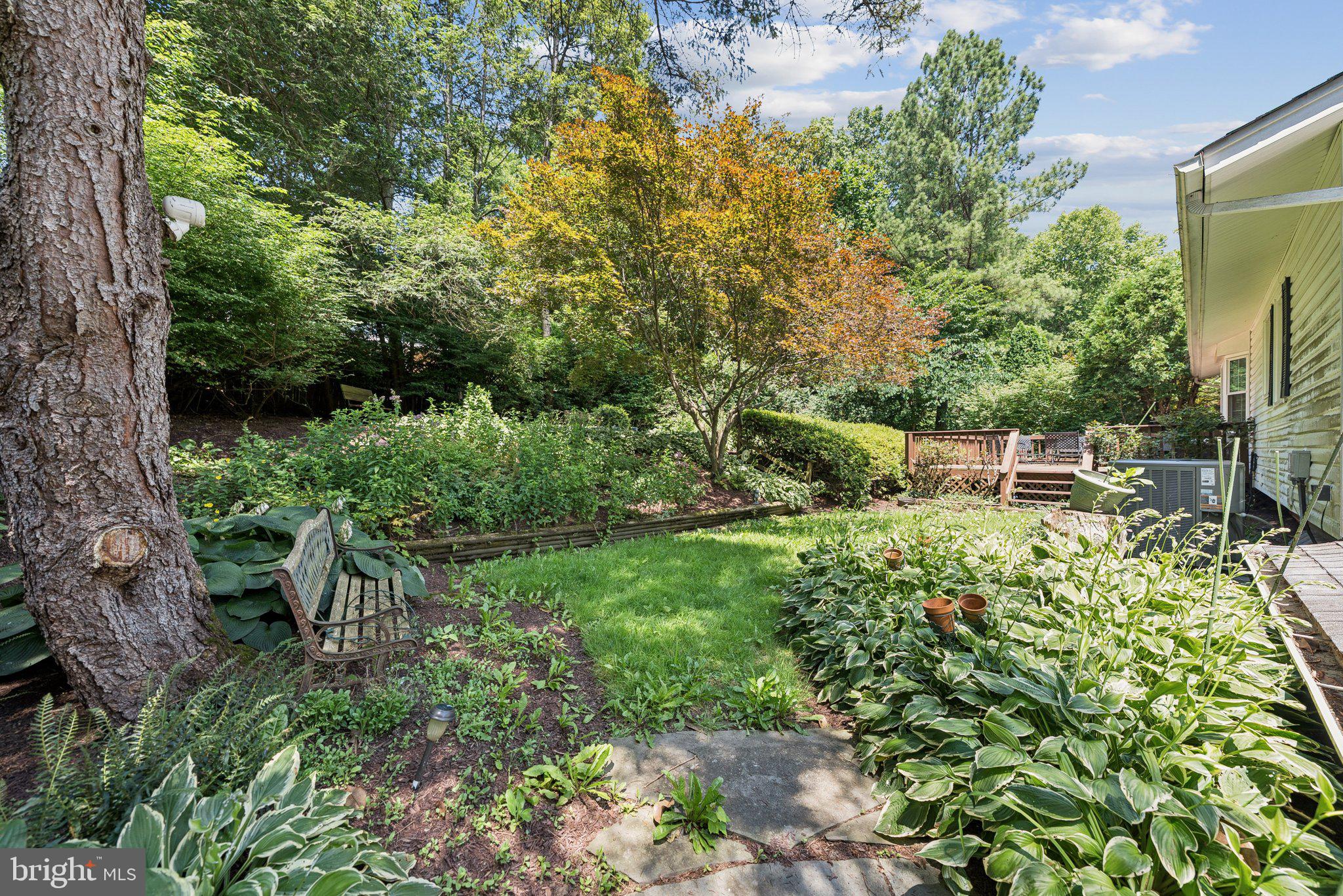 889 Diamond Drive Gaithersburg, MD 20878 - Photo 4 of 21 Gorgeous rear yard with lots of colorful blooms!