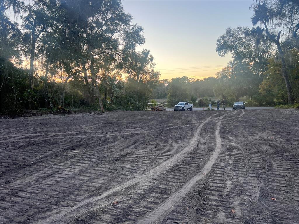 a view of a dry yard with trees