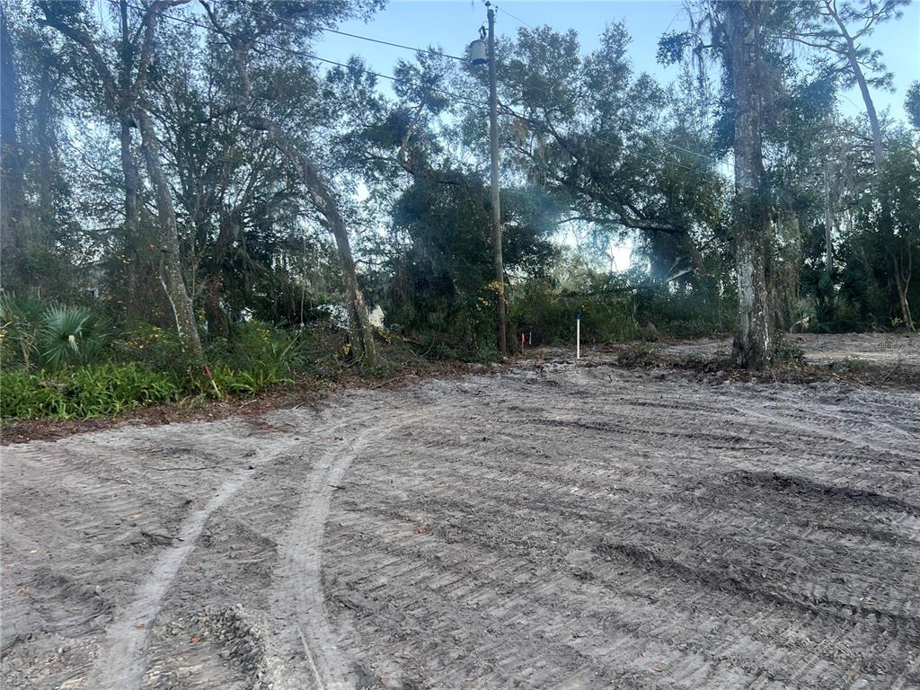 436 Huntington Shortcut Road Pomona Park, FL 32181 - Photo 3 of 3 a view of a dry yard with trees