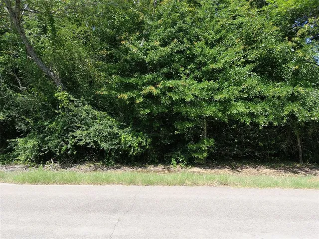 a view of a yard with a plants and trees