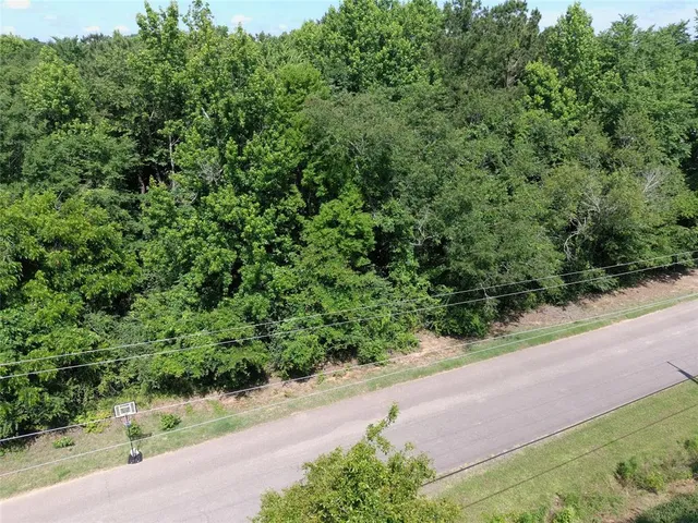 a view of a garden with a pathway