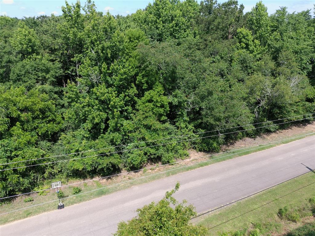 0 Pecan Road Keithville, LA 71047 - Photo 2 of 4 a view of a garden with a pathway