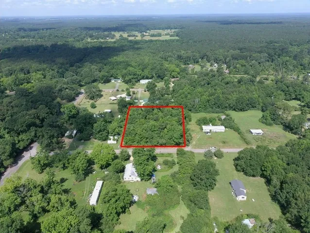 an aerial view of green landscape with trees houses and mountain view