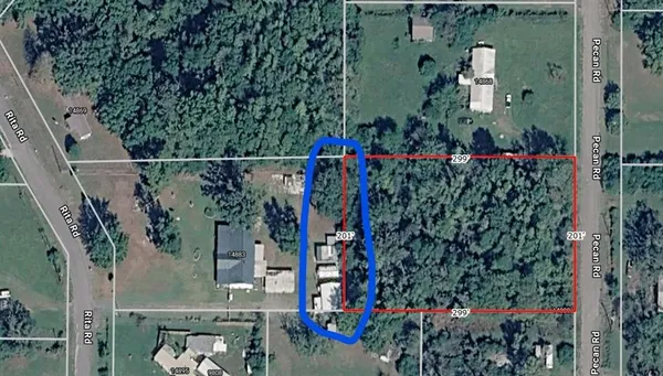 an outdoor space view with plants