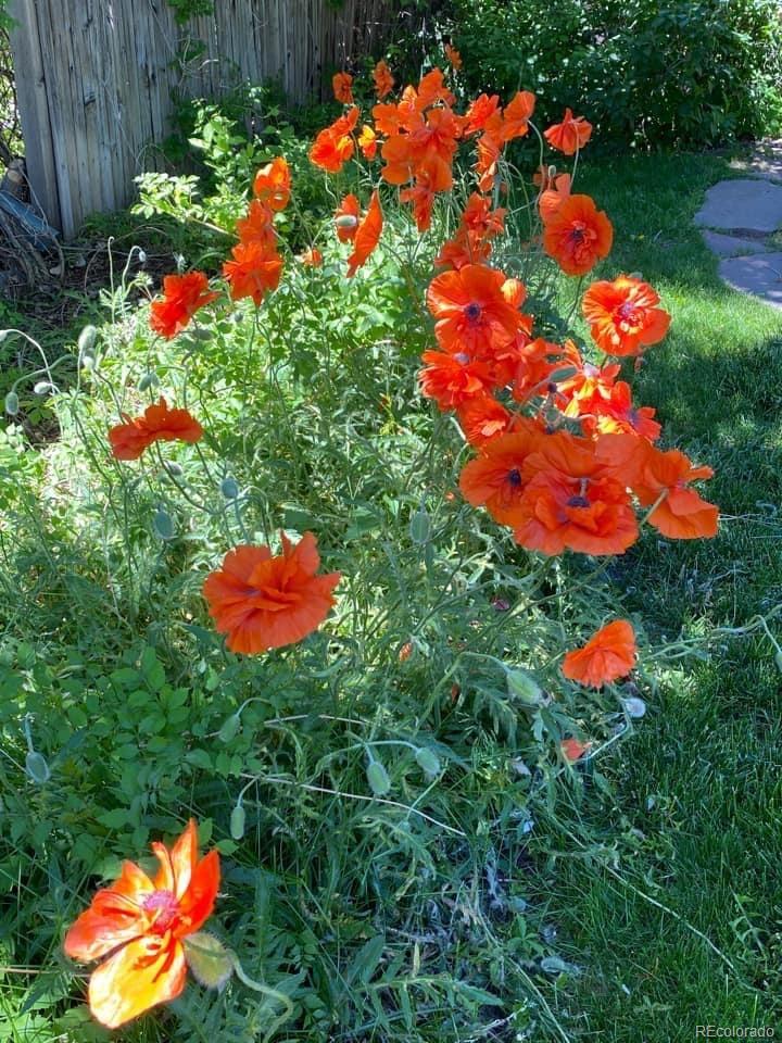 2831 Monroe Street Denver, CO 80205 - Photo 20 of 20