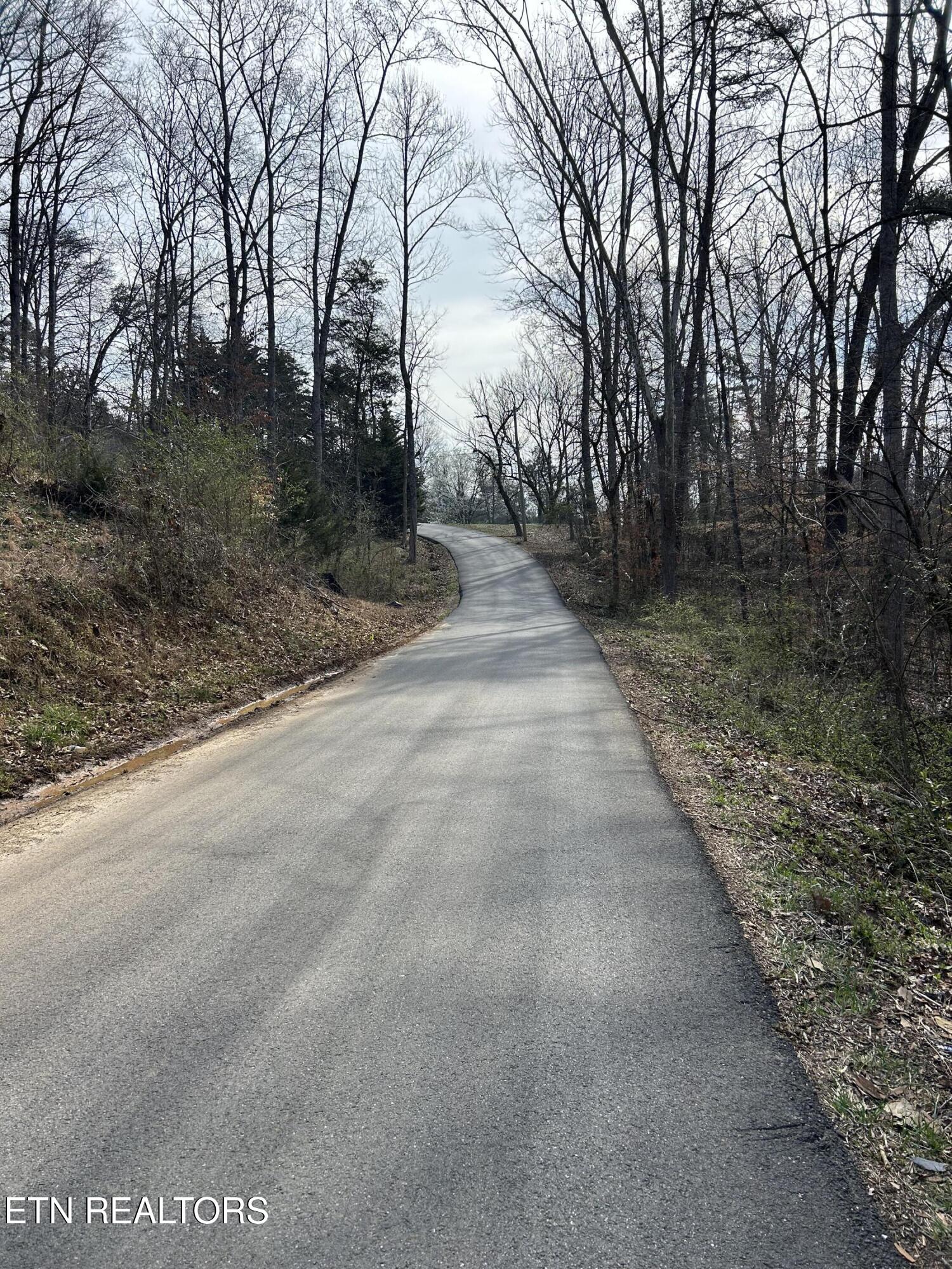 10513 Rather Road Knoxville, TN 37931 - Photo 1 of 9 IMG_5707