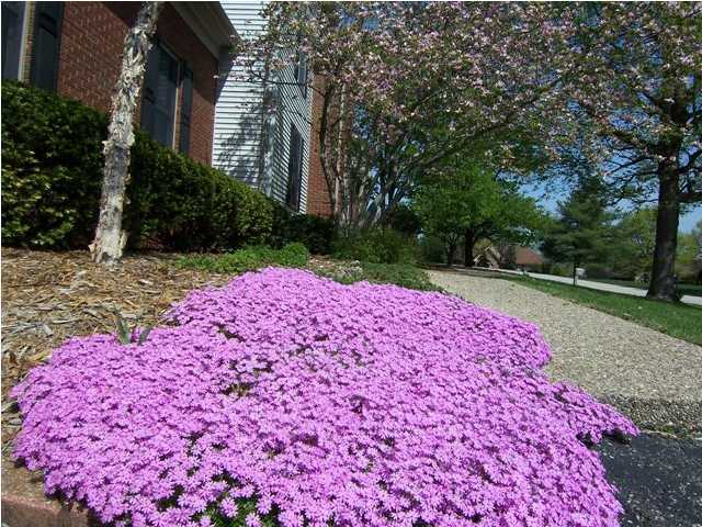 12803 Ridge Lock Court Prospect, KY 40059 - Photo 2 of 22 Additional Photo