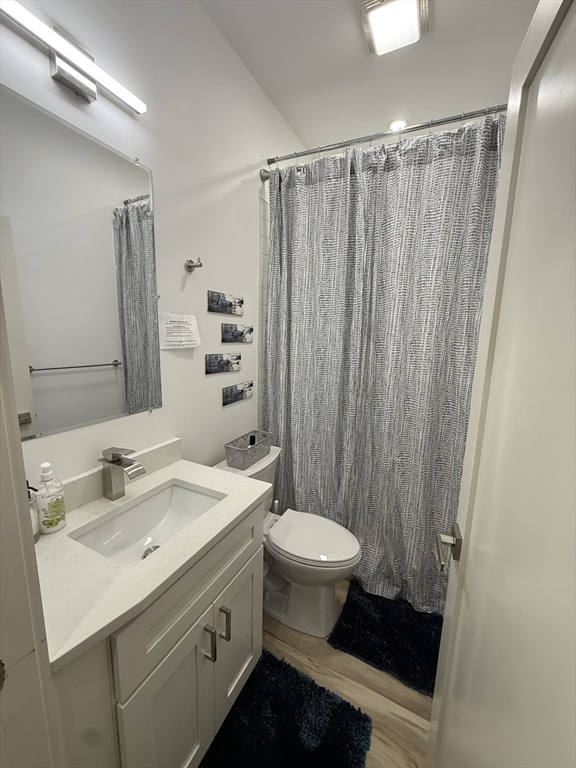 120 Regent Street, Unit 5 Boston, MA 02119 - Photo 20 of 27 a bathroom with a sink a toilet a mirror and shower curtain