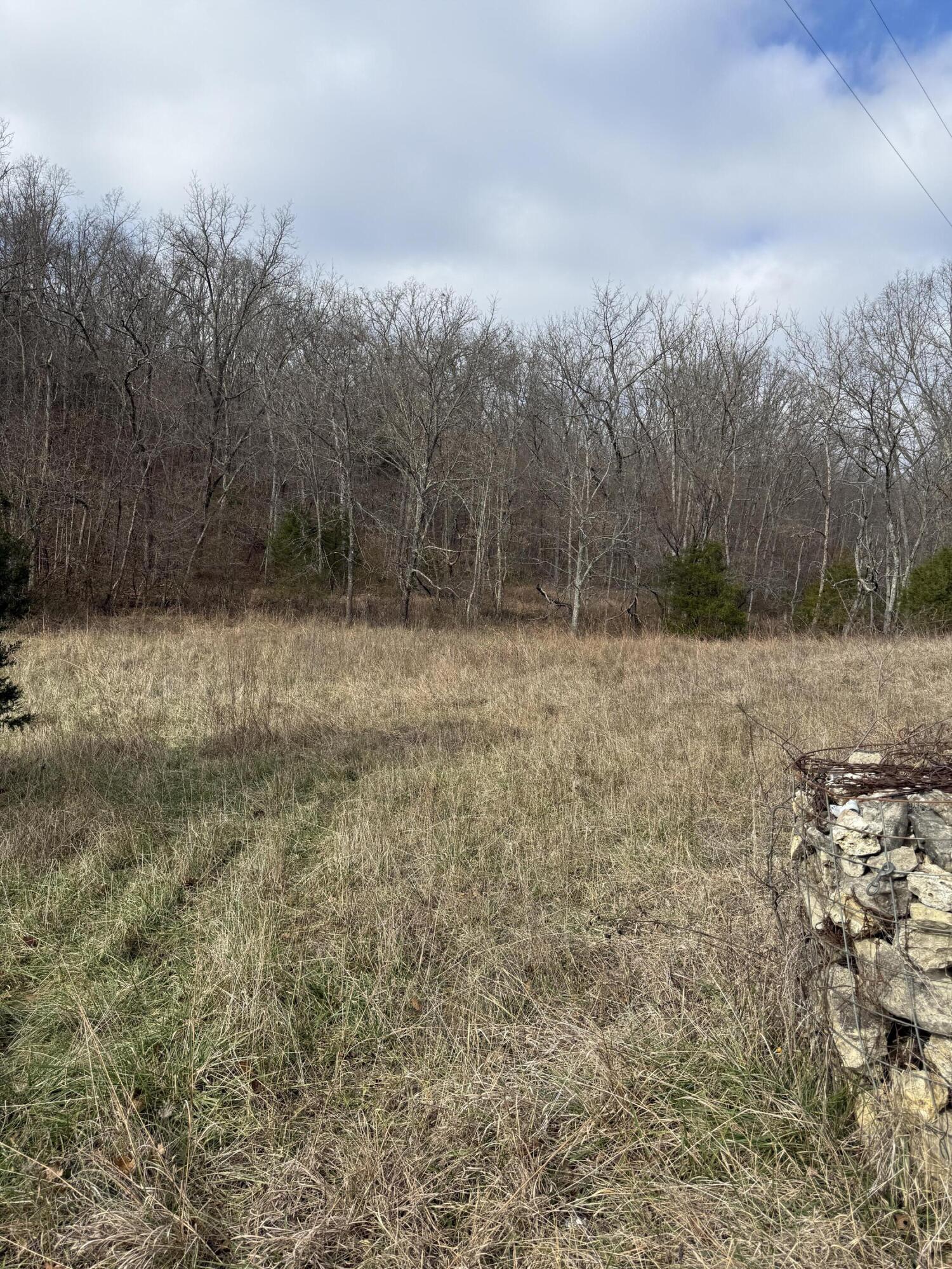 0 Varvel Road Willow Springs, MO 65793 - Photo 8 of 62 IMG_0764