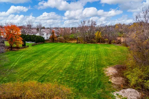a view of a big yard with large trees