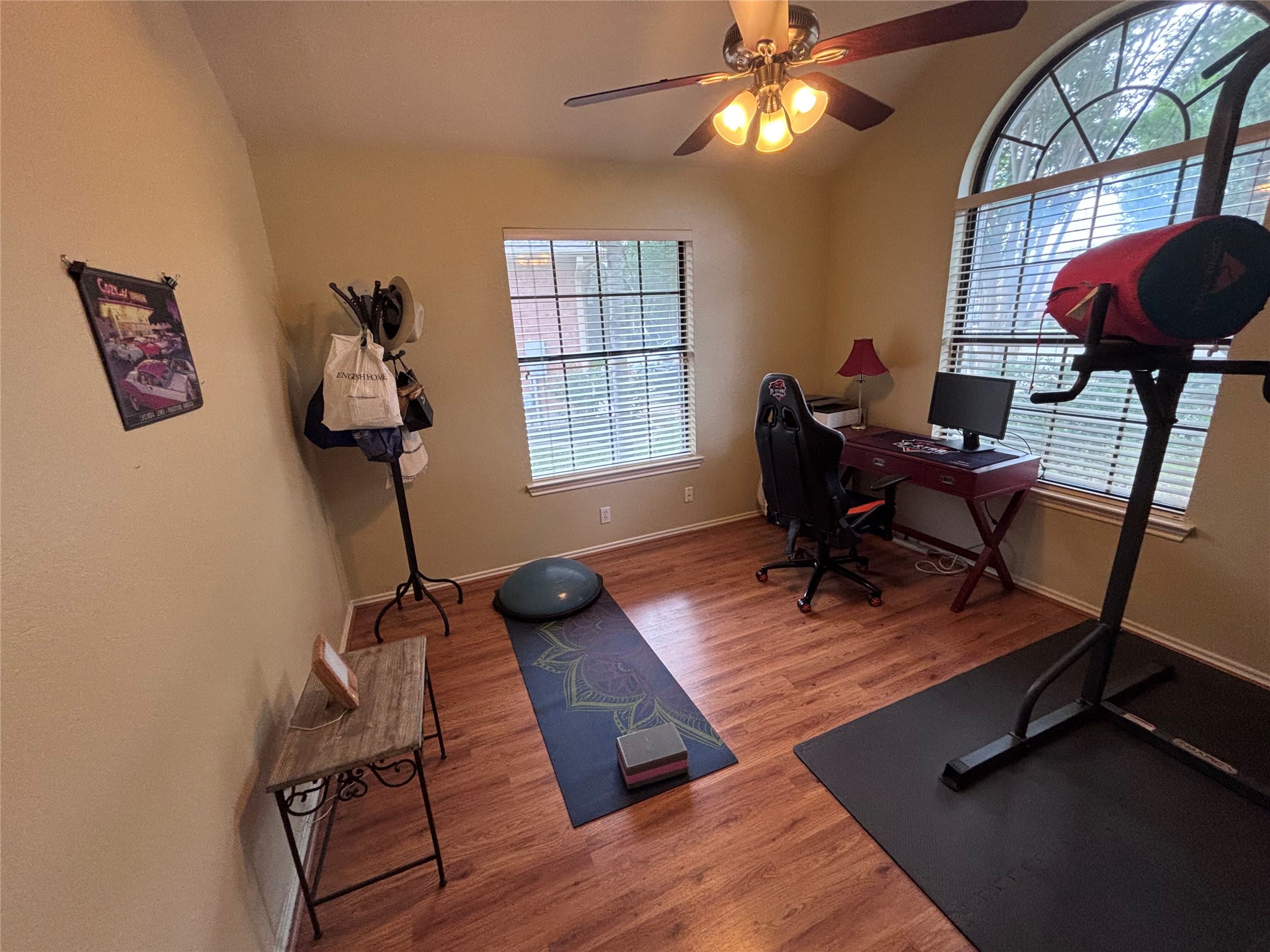 1316 Mesquite Road Cedar Park, TX 78613 - Photo 18 of 24 An inviting flex space offers vaulted ceilings, hardwood flooring, and ample natural light.