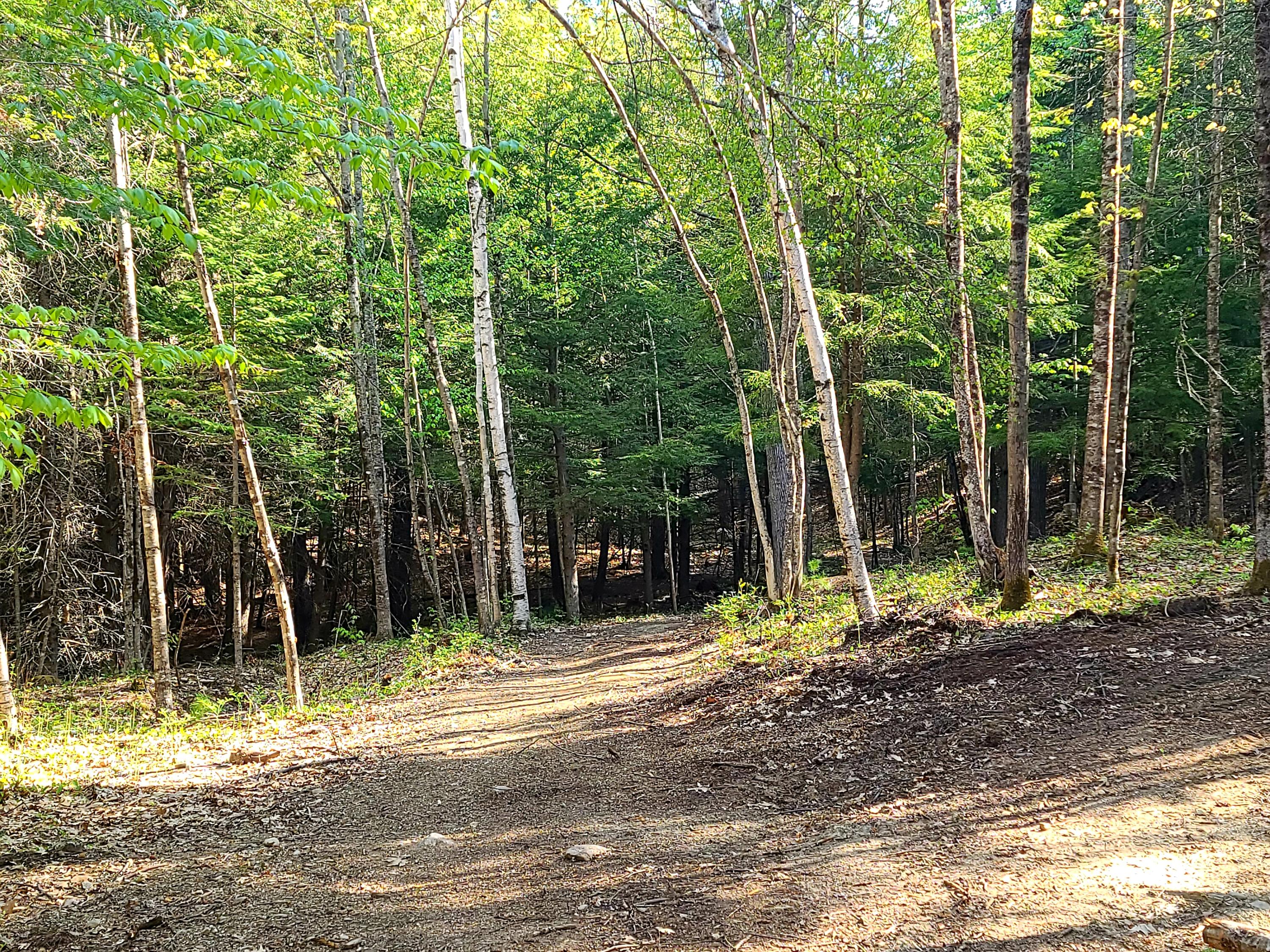 176 A Lane Road Greene, ME 04236 - Photo 3 of 6 20210515_085931