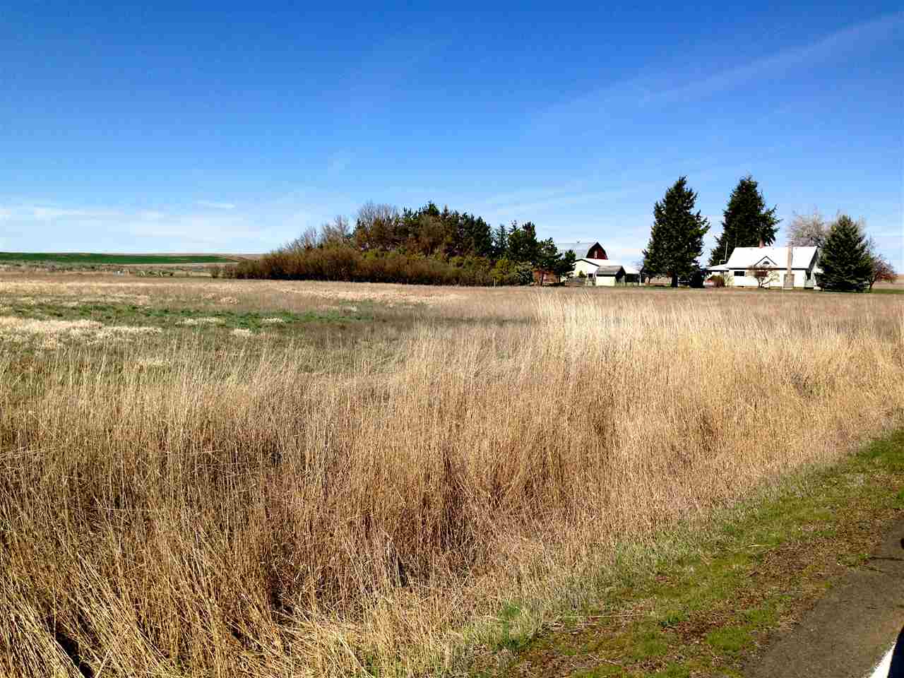 28239 Riffe Road North Reardan, WA 99029 - Photo 15 of 15